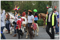 Un super carnaval avec les poneys